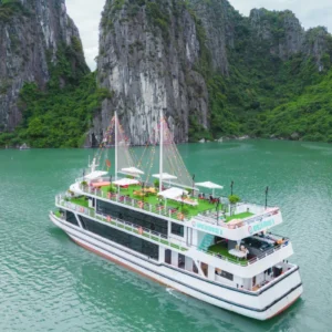 Halong Bay 1 day cruise day tour sailing past limestone karsts