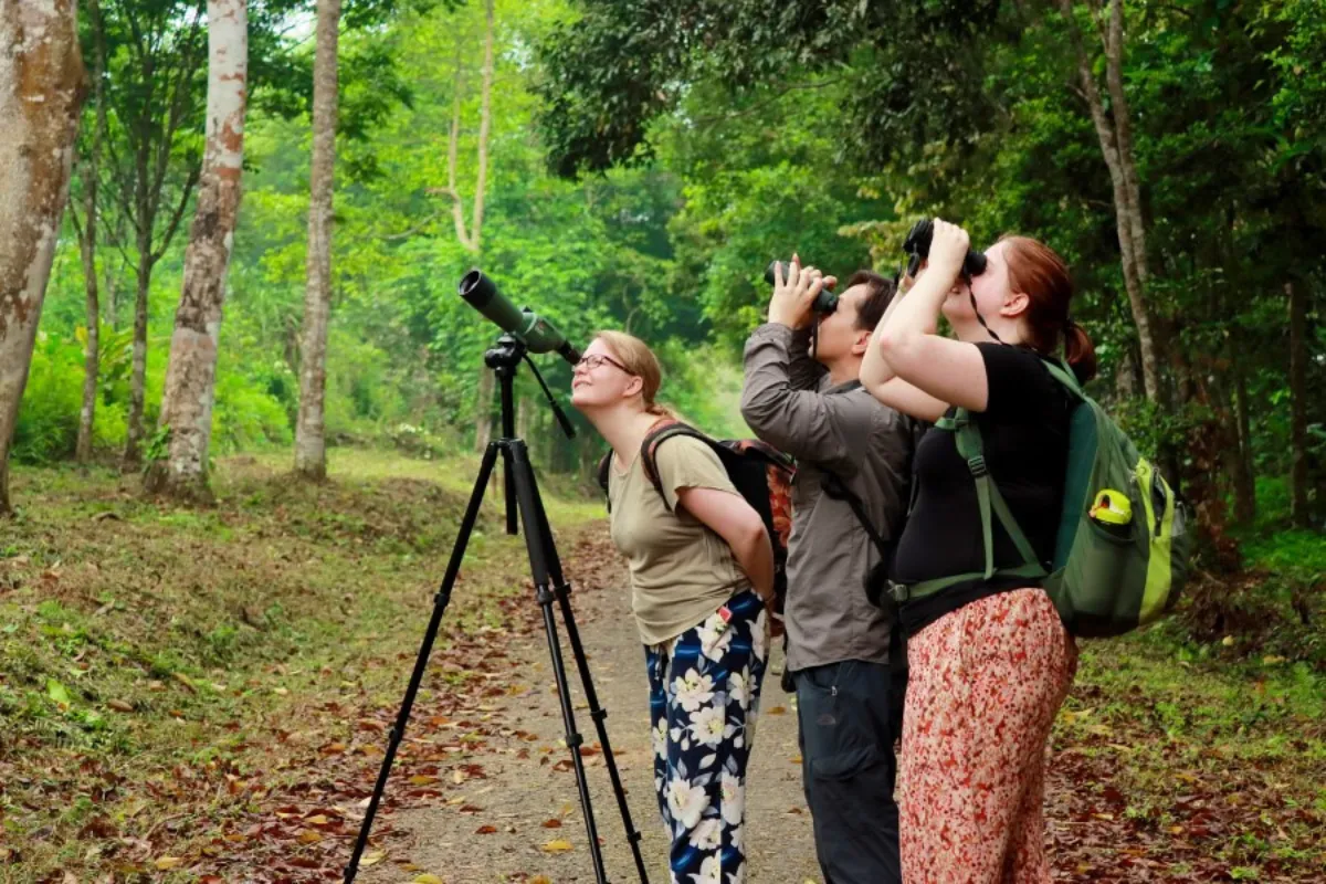 Explore Cuc Phuong National Park
