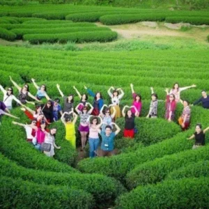 Moc Chau Tours