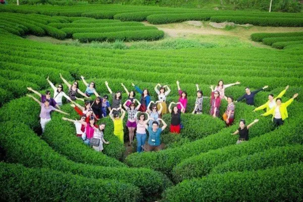 A group of tourists posing in the heart-shaped valley of a green tea hill in Moc Chau