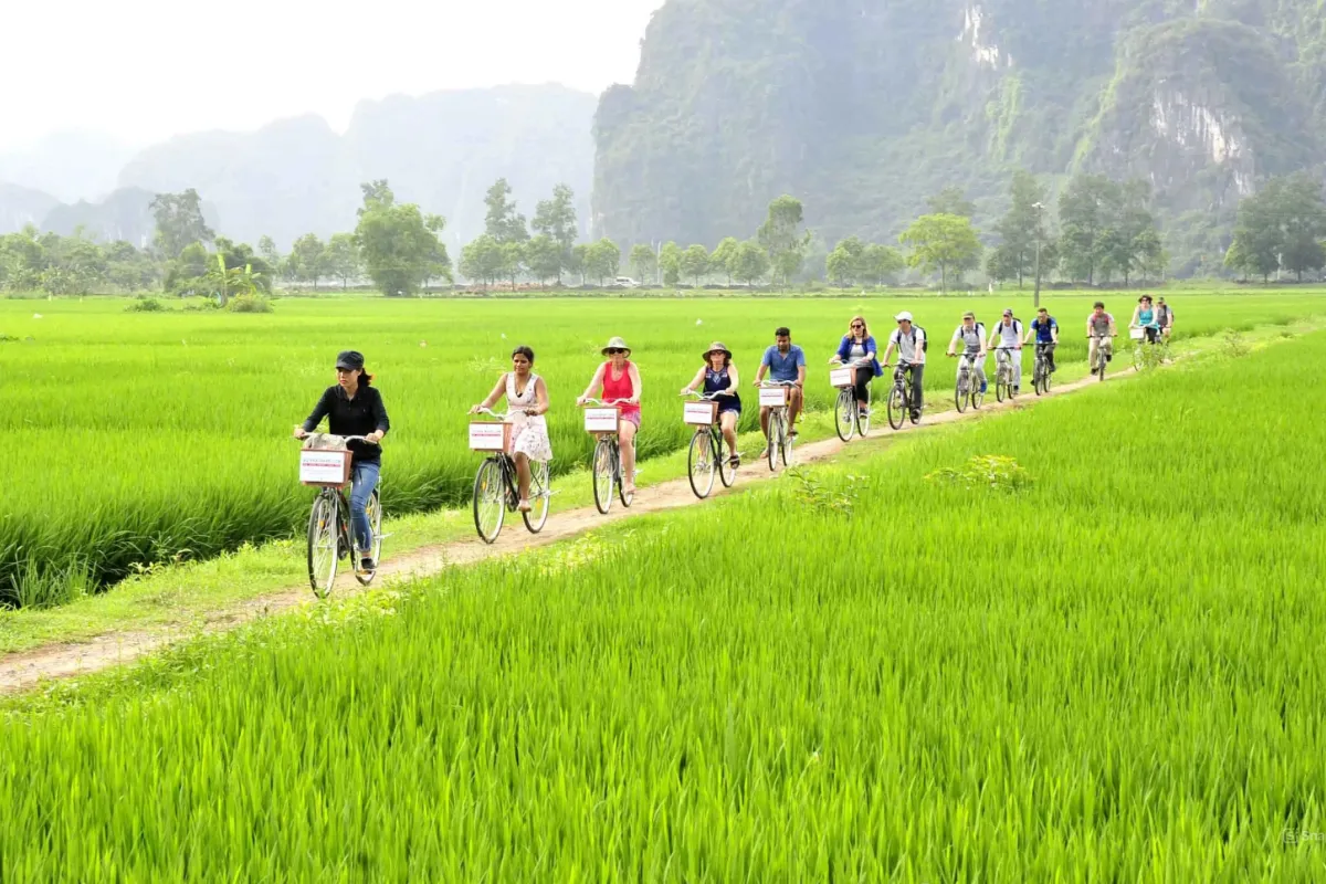 Cycle Through the Rice Paddies