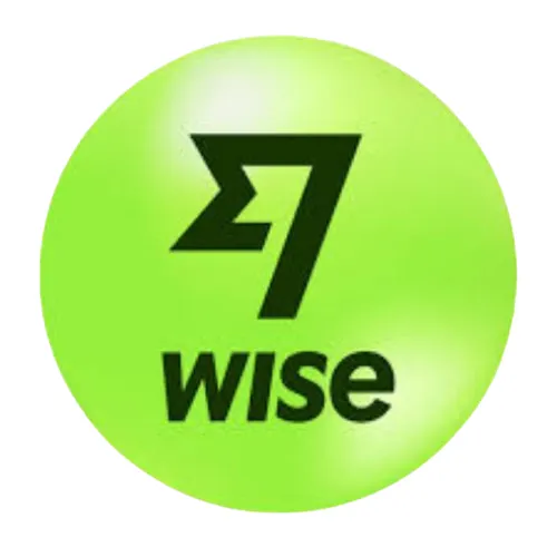 wise payment