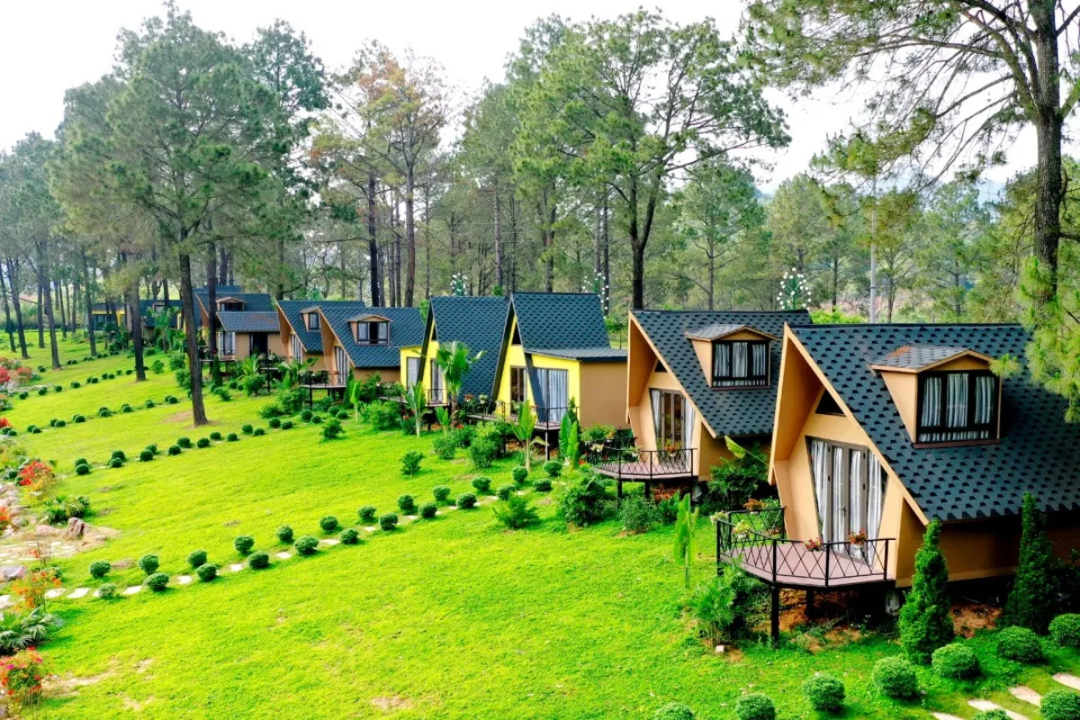Relax at Ban Ang Pine Forest