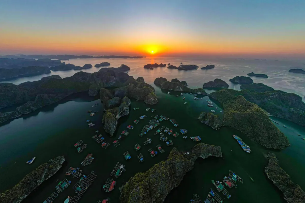 Visit Cai Beo Floating Fishing Village
