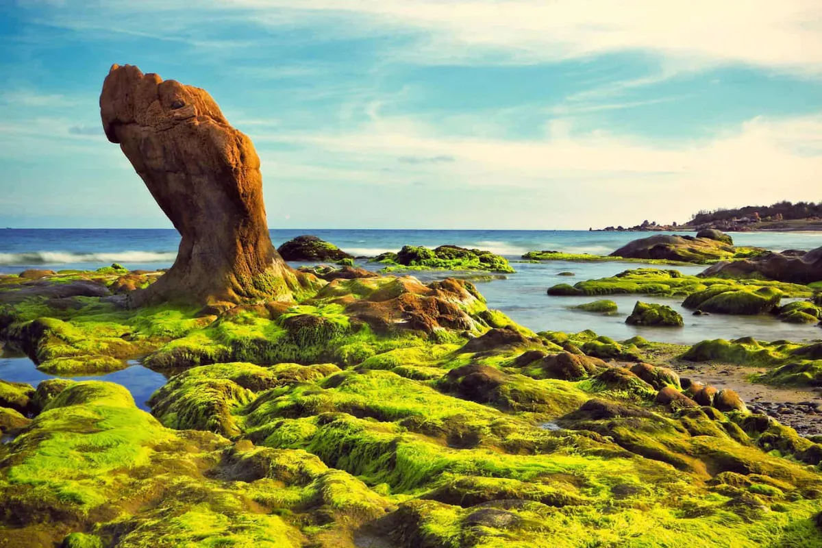 Explore Co Thach Rock Beach