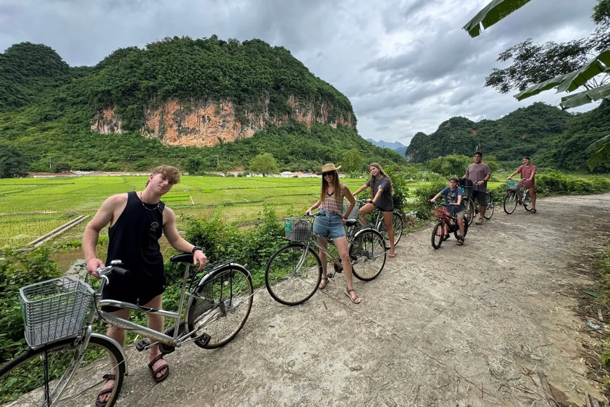 Cycle Through the Rice Paddies