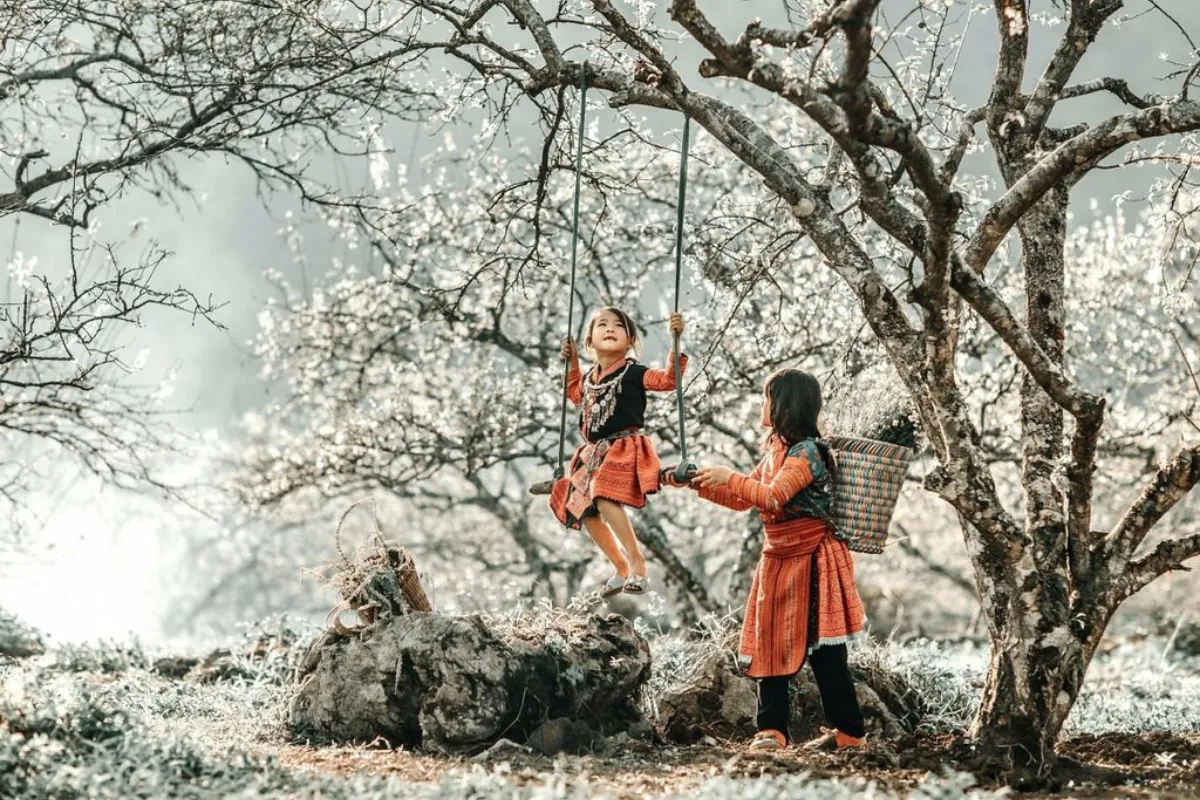 See the Plum & Peach Blossoms