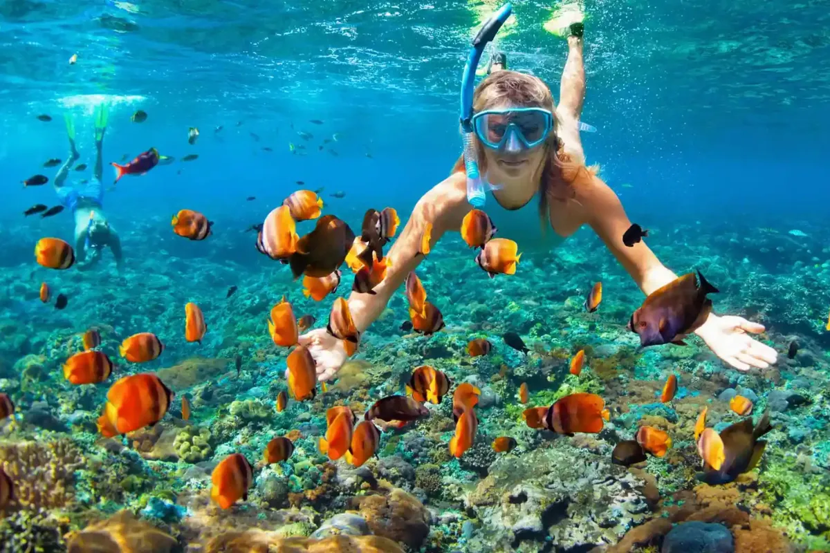 Snorkeler surrounded by colorful tropical fish over a coral reef near Hon Mun Island, Nha Trang