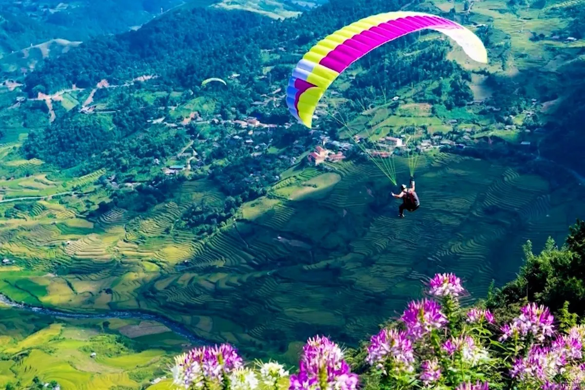 A colorful paraglider flying over golden terraced rice fields near Khau Pha Pass in Mu Cang Cha