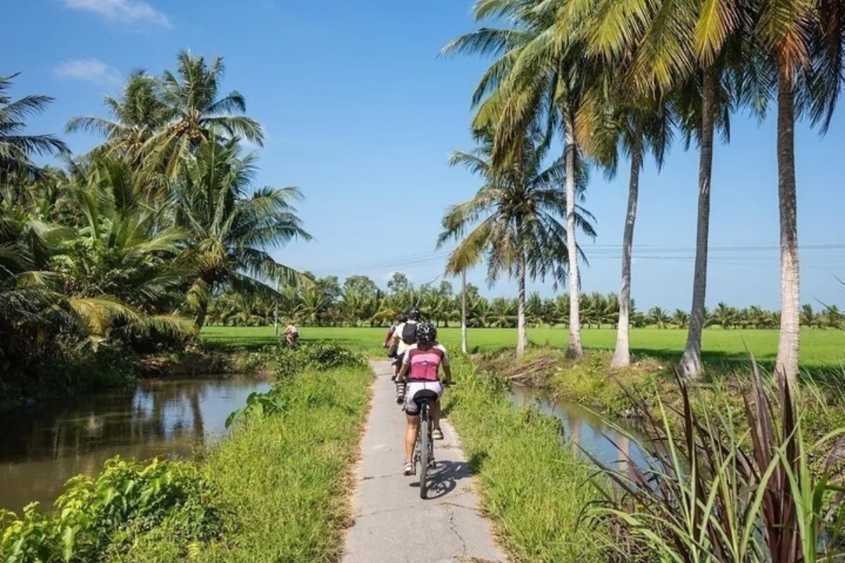 Cycle Through the Countryside