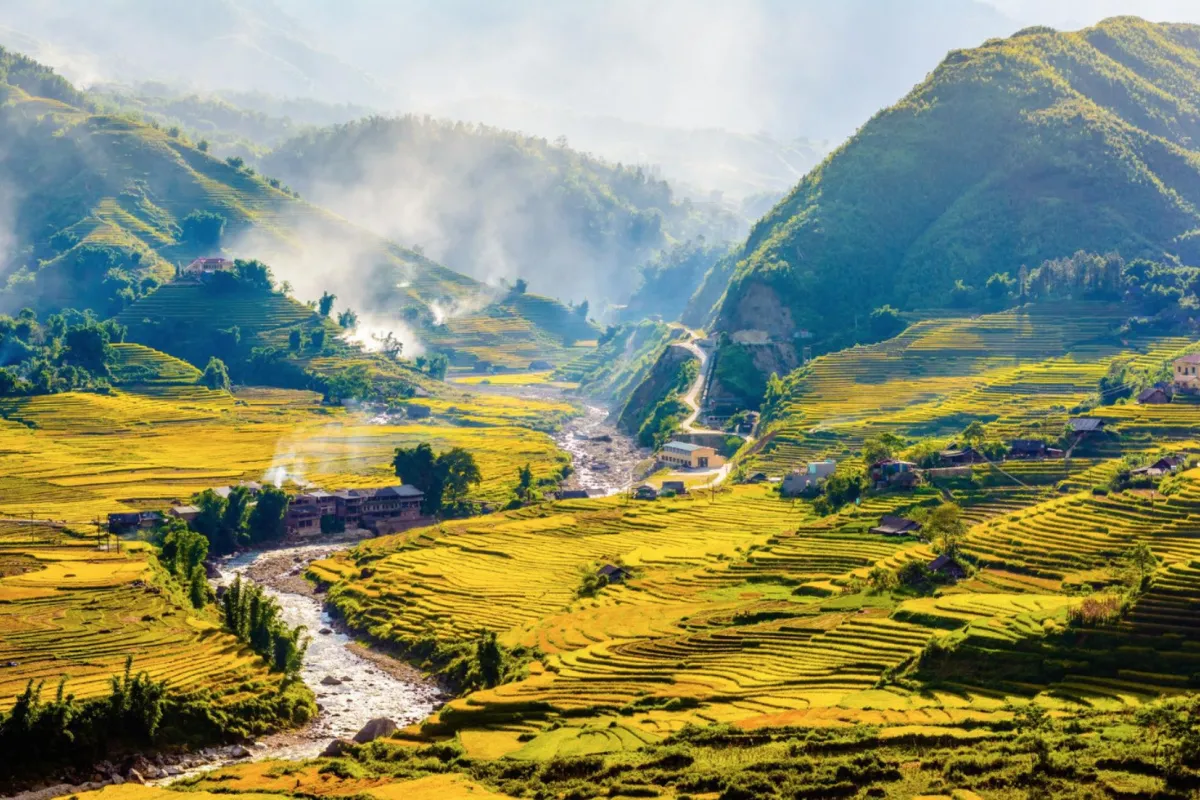 Panoramic view of terraced rice fields and a winding stream through Muong Hoa Valley near Sapa