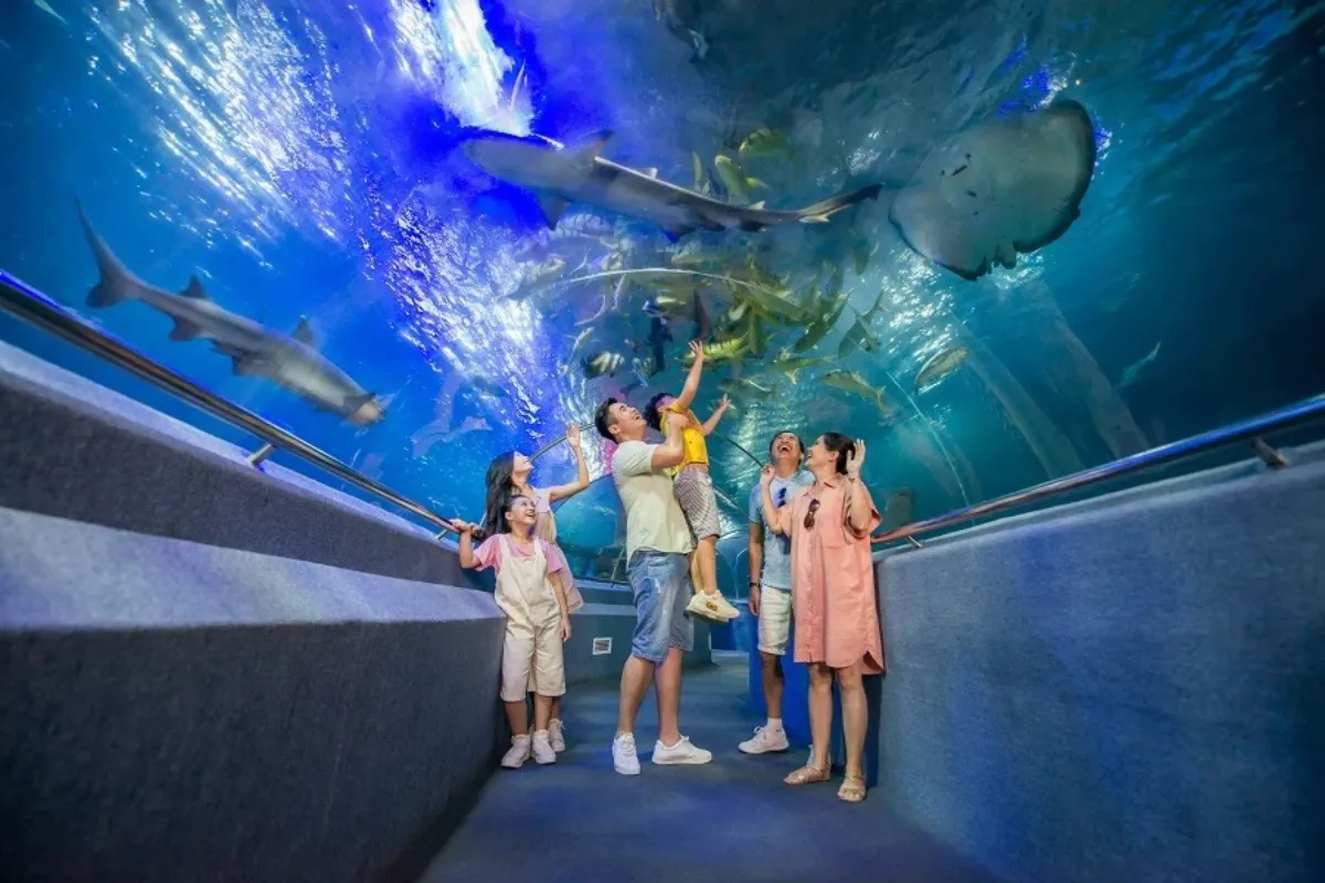 Visit the Institute of Oceanography