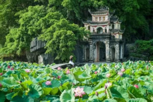 Ancient stone gate of Bich Dong Pagoda rising behind a blooming lotus pond in Ninh Binh
