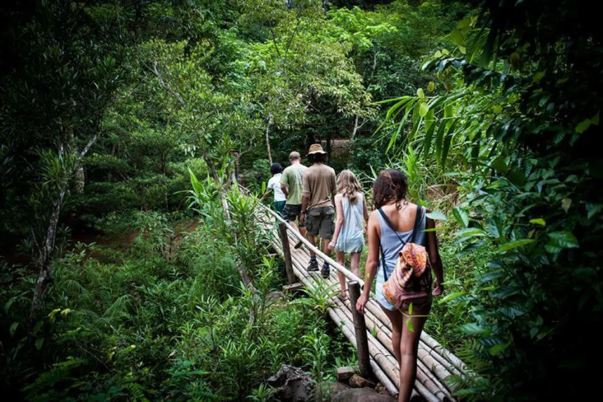 Trek Through the Botanical Garden