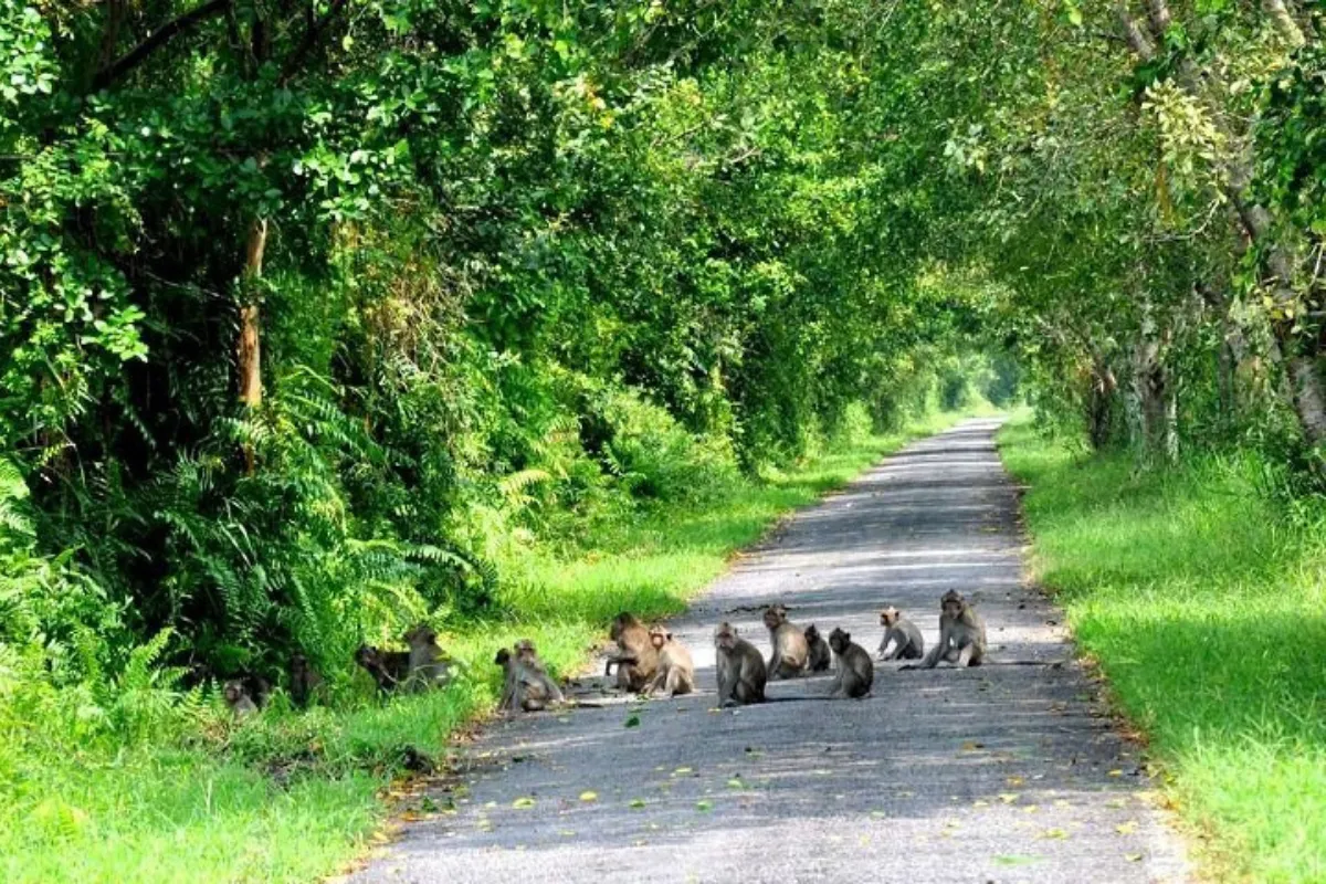 Explore Phu Quoc National Park