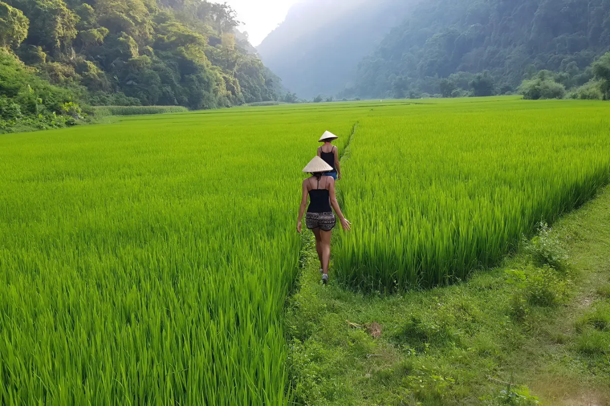 Trek Through Rice-Terrace Villages