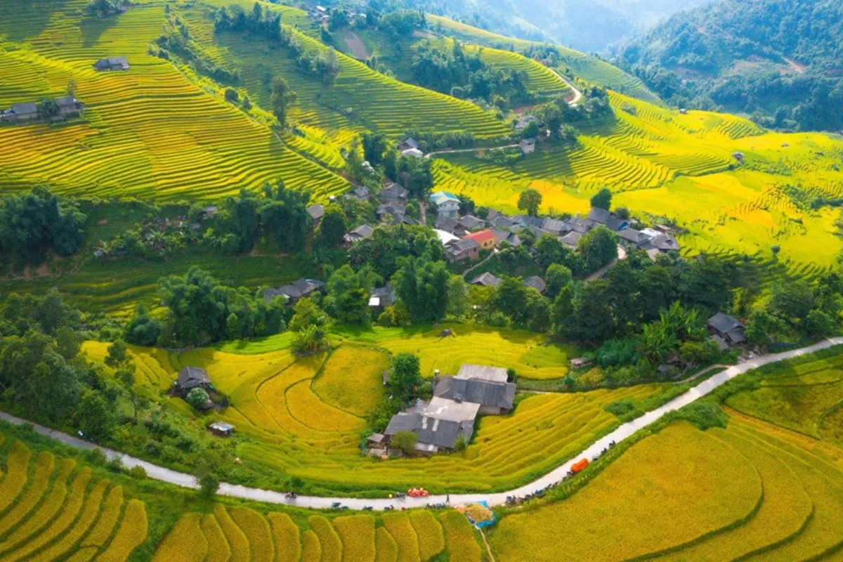 Photograph the terraces in season