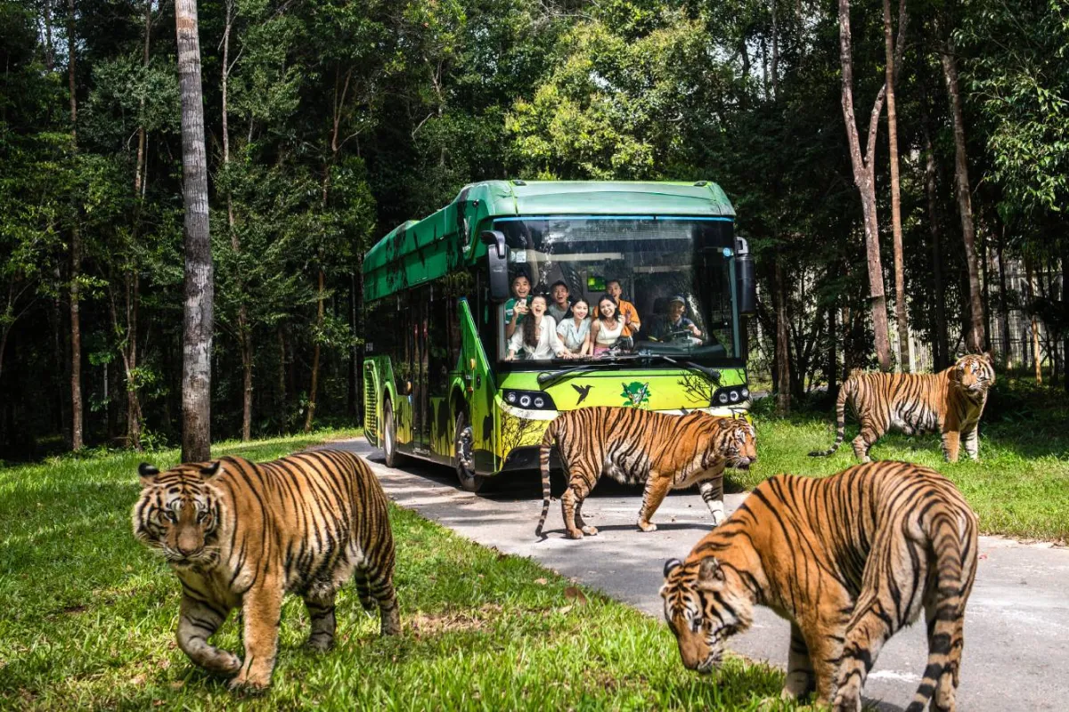 Visit VinWonders & Vinpearl Safari