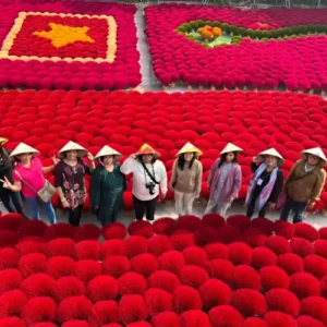 incense village Hanoi half day tour group in conical hats posing among colorful incense stick fields at Quang Phu Cau village